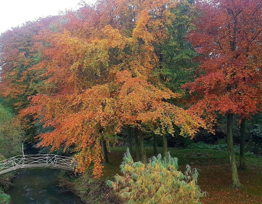 da7d2985-e593-4df7-8efe-6d22a9977710