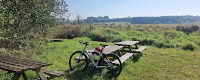 Birkemosen picnicplads