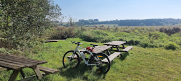 Birkemosen picnicplads