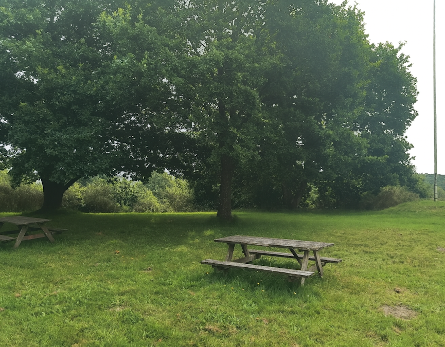 Sortebjerg picnic