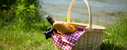 Picnic