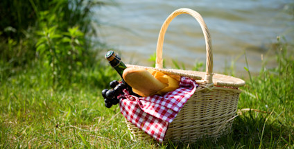 Picnic
