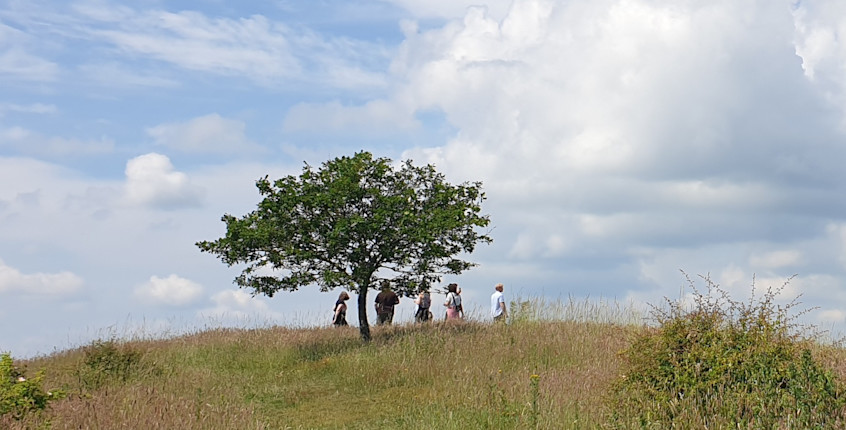Bestig bjerge på Skamlingsbanken