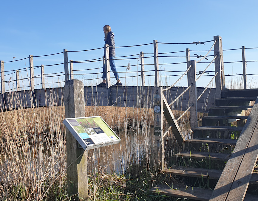 Aller Å ved Hejls Nor