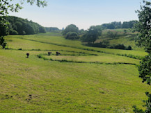Hjarup Vådområde