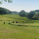 Hjarup Vådområde