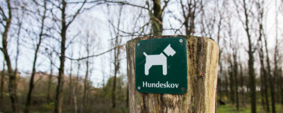 Luft din hund i Vamdrup hundeskov