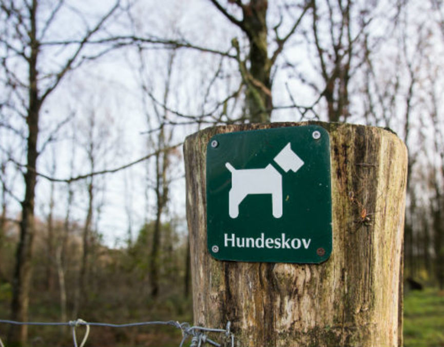 Luft din hund i Vamdrup hundeskov