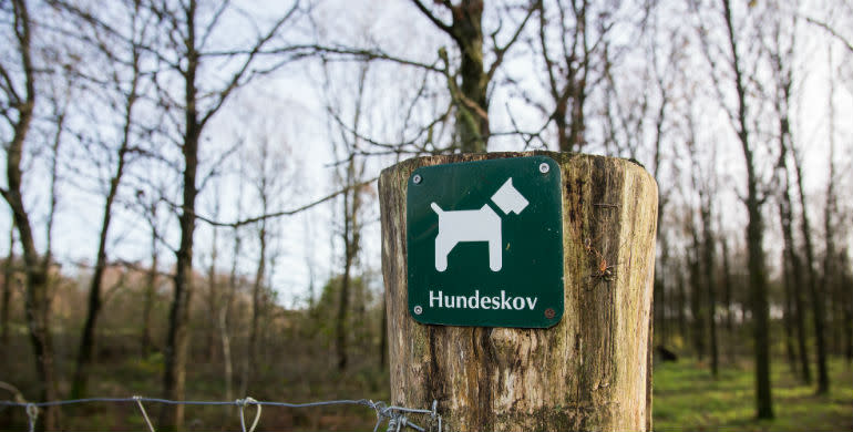 Luft din hund i Vamdrup hundeskov