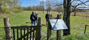 Skærsø 