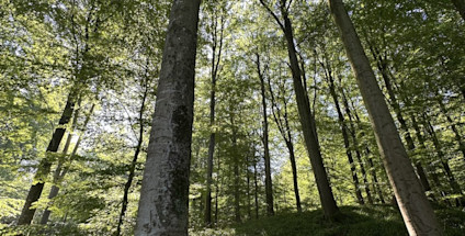 c2a810e8-194b-47d5-90b9-175b63a4102c