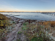 2960fb62-e81a-4f23-85b3-a9b6da62c1a3