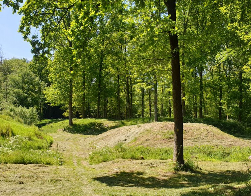 3954e36b-e5c2-4222-a8e8-f486969b7232