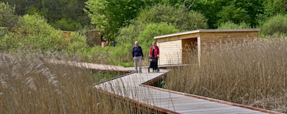 Åshelter ved Dybvadbro