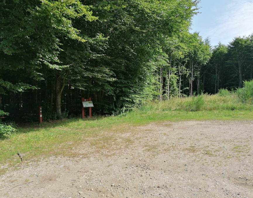 6e401bbb-2b60-4377-b8b3-447dd0d20e5f