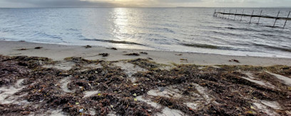 08989283-6033-42e2-a5a3-23608e990328