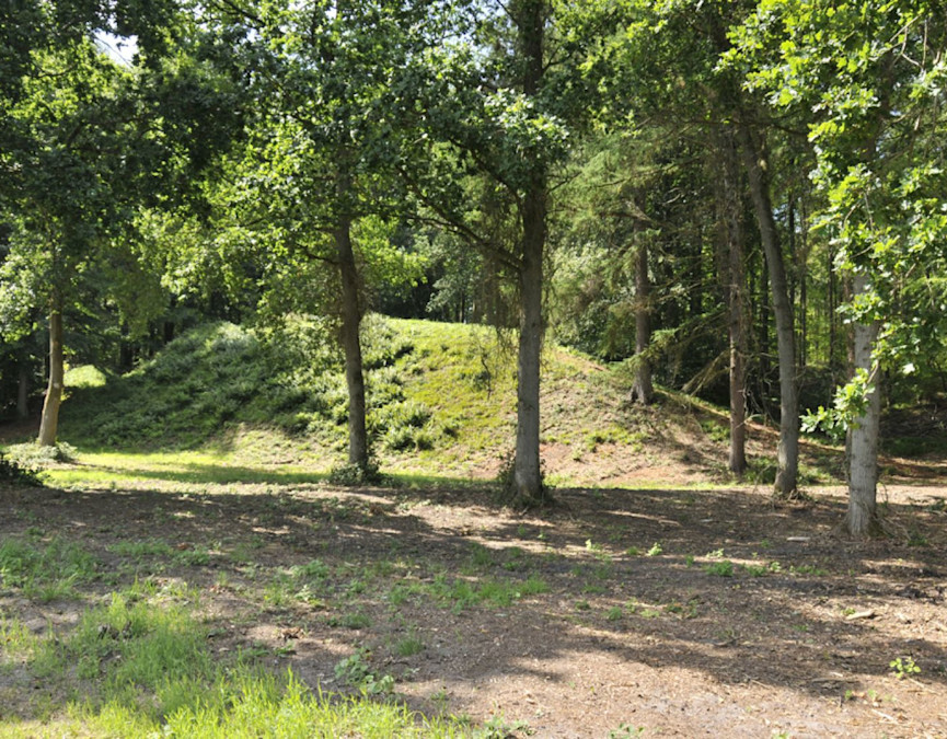 a2cb47a8-e245-4e7f-b21e-3ab6aa63873e