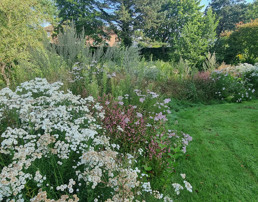Kolding bypark blomster