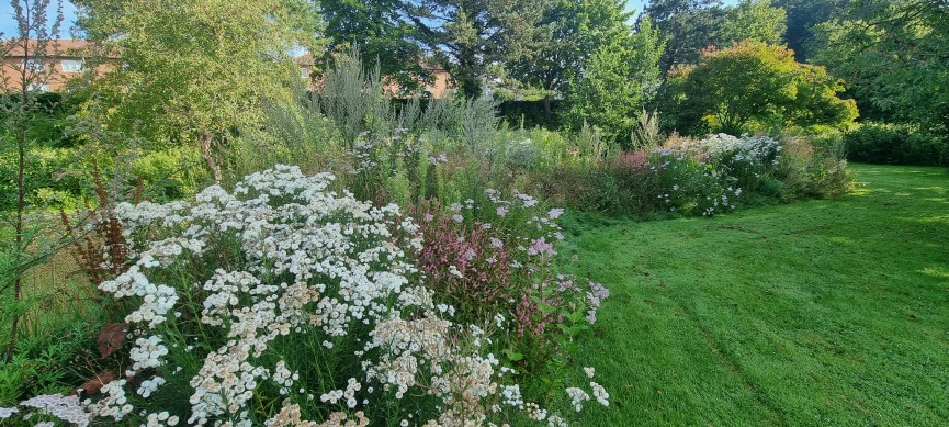 Kolding bypark blomster