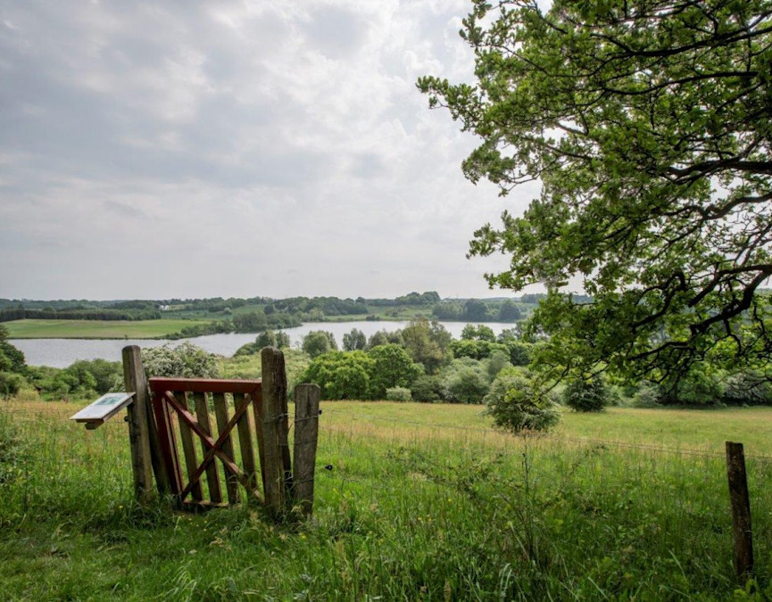 8b598f81-c9f2-473c-8d63-2658ecbd8d06