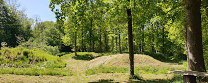 Voldstedet i Fovslet Skov