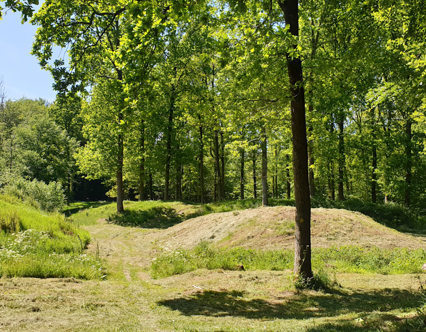 Voldstedet i Fovslet Skov