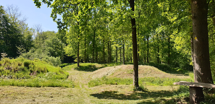Voldstedet i Fovslet Skov