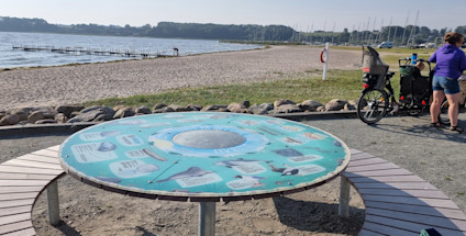 Opdagelsesbord ved Hejlsminde Strand