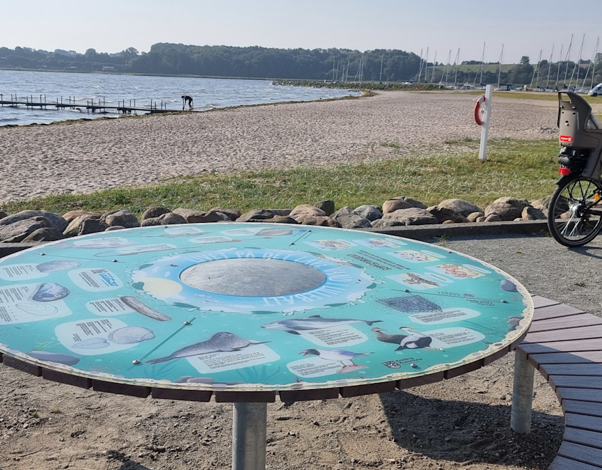 Opdagelsesbord ved Hejlsminde Strand