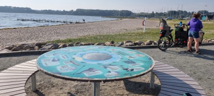 Opdagelsesbord ved Hejlsminde Strand