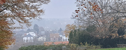 Rød Kløverstirute