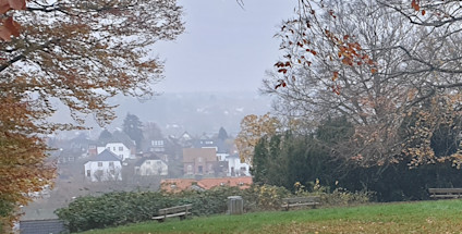 Rød Kløverstirute