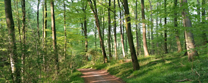 Bramdrup Skov