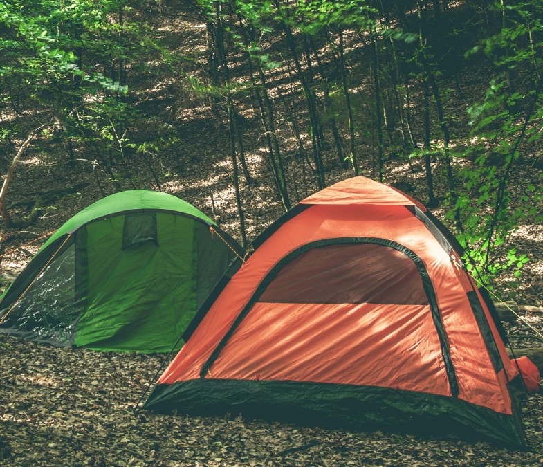 Fri teltning i skoven