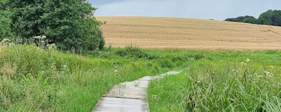 Birkemosen naturstier
