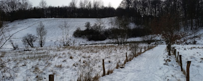 Hock Hylkedalen kælkebakke
