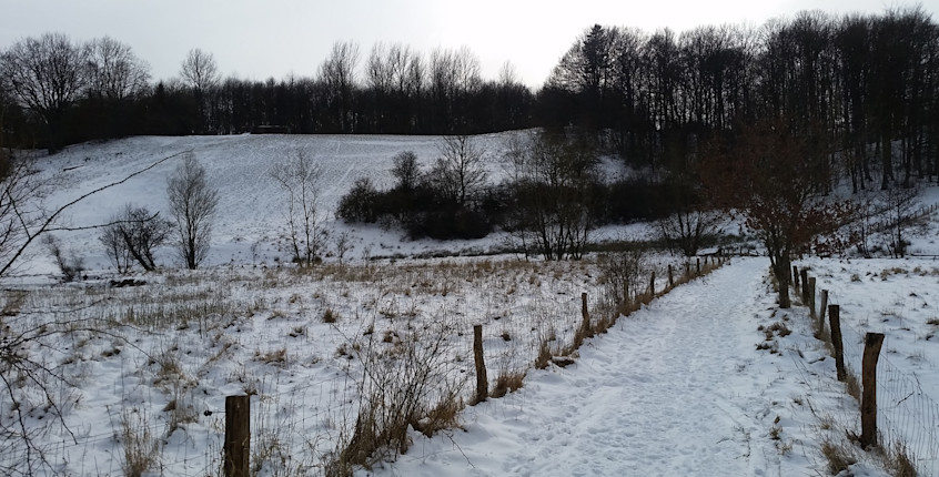 Hock Hylkedalen kælkebakke