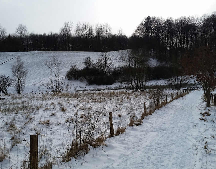 Hock Hylkedalen kælkebakke