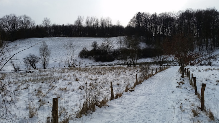 Hock Hylkedalen kælkebakke