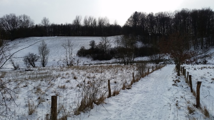 Hock Hylkedalen kælkebakke