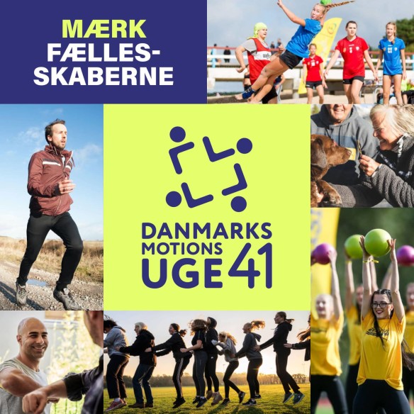 Danmarks motionsuge 41