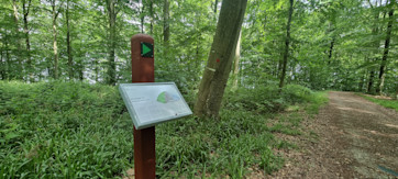 Kulturhistorisk rute Stenderup Midtskov
