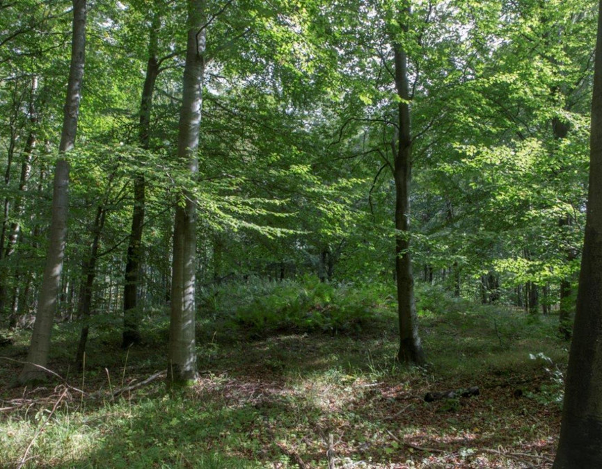 98449166-a47f-42da-88a1-6223865129b9