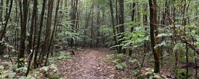 5a166f63-87f9-46b7-b4b5-a32ec7ec38de