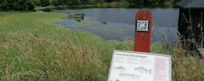 Fiskeri i Ferup Sø