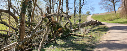 Skamlingsbankestien