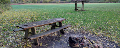 ab69ed2f-f2e3-414c-81f3-cdfd610c8648