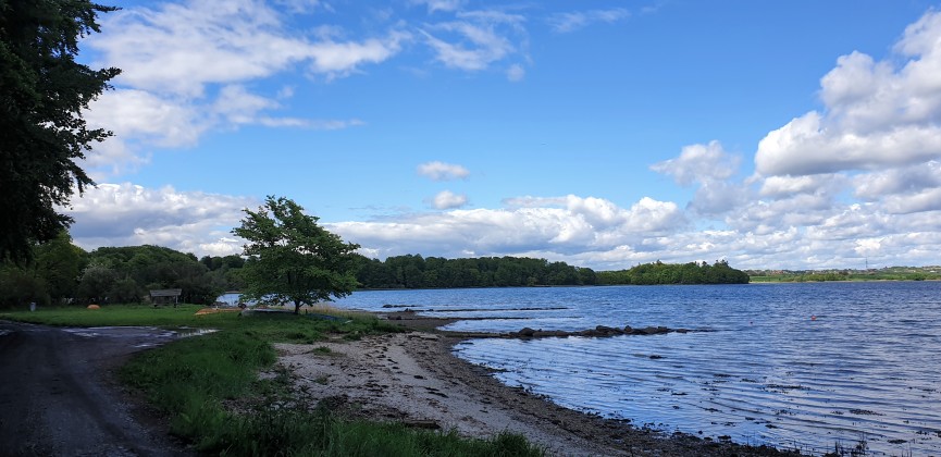 Elvig høj strand