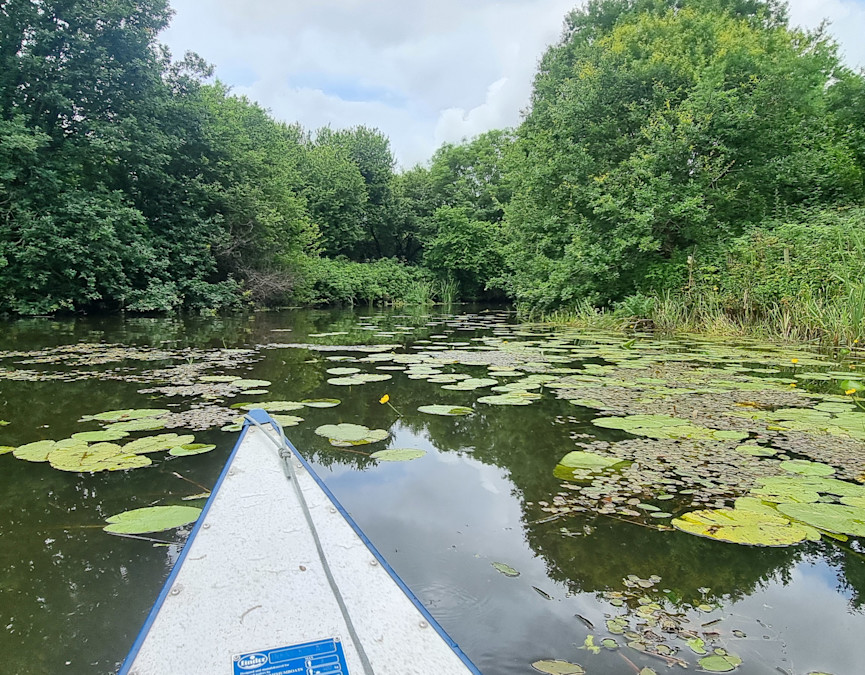 Kanotur Stallerup Sø