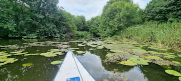 Kanotur Stallerup Sø